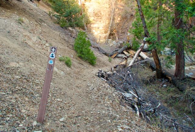 End of Burkhart Trail, return to the PCT