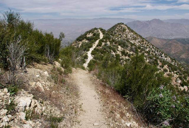 Trail over ridge