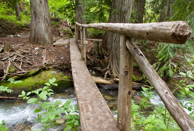 A log bridge crossing Swamp Creek