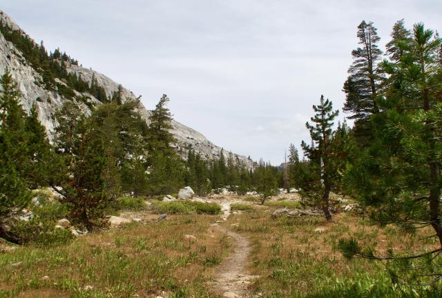 Flat trail in Kerrick Canyon