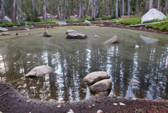 A pond on Bailey Ridge
