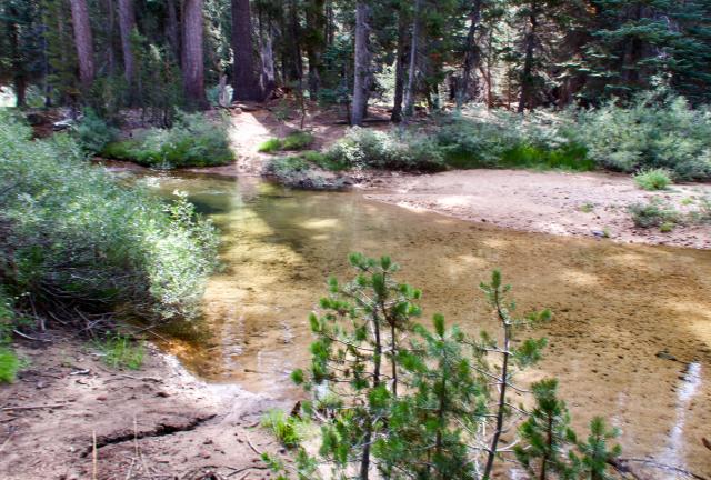 A shallow stream in Stubblefield Canyon in Yosemite