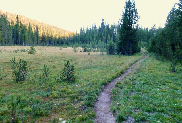 a long meadow in Cold Canyon
