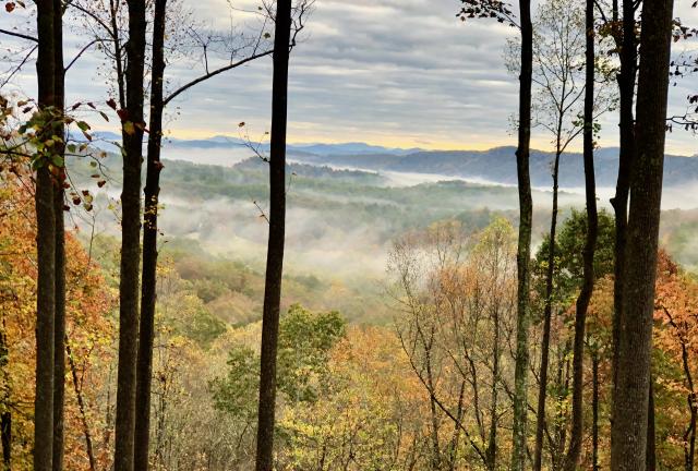 A view with low clouds in the distance