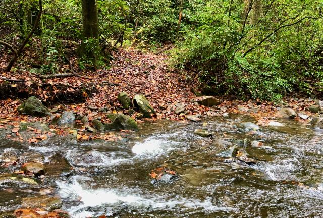 West Fork of Rough Creek