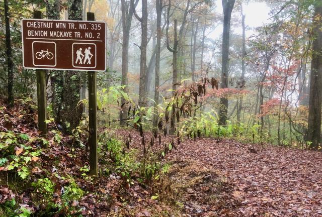 Chestnut Ridge Trail