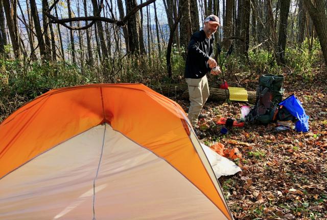 Polecat dries out his tent