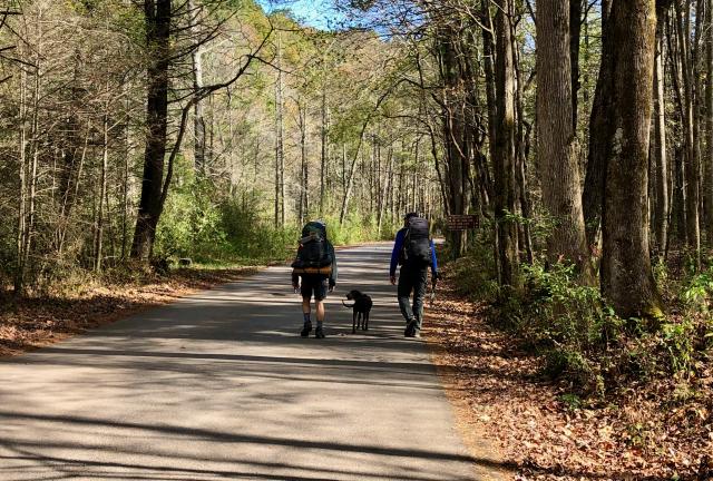 A hunting dog follows Polecat and JA