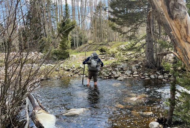 Sasquatch crosses a stream where he didn't see a bridge