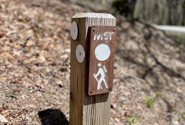 A short post with a Mountains-to-Sea Trail blaze