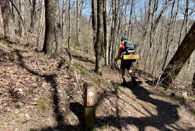 A smooth section of trail