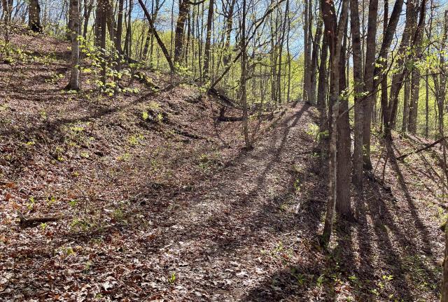 The trail follows an old road around a tunnel