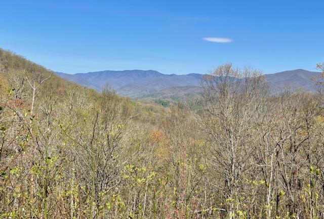A view of mountains in Great Smoky Mountains National Park