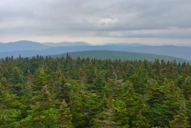 View from Glastenbury Mountain fire tower