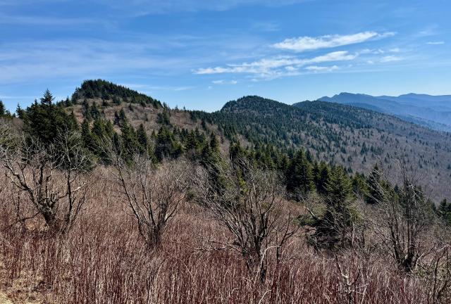 A view of the ridge of Black Mountains from near Celo Knob