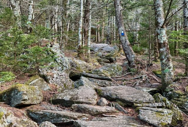 The trail climbs near the site of Camp Alice