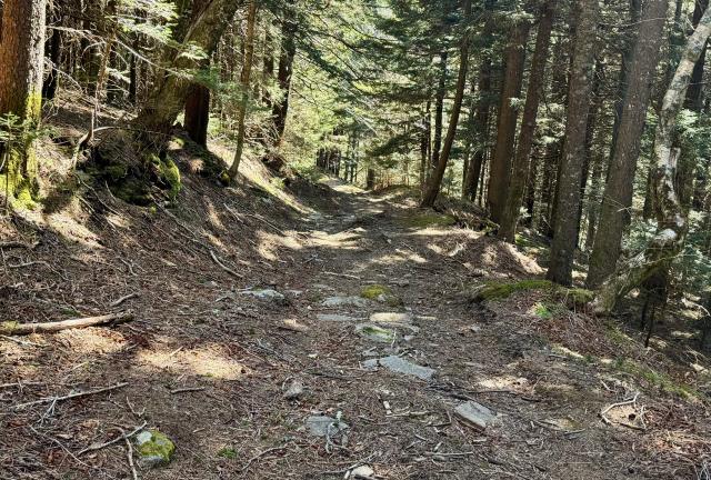 The Black Mountain Crest Trail begins a descent to Bowlens Creek