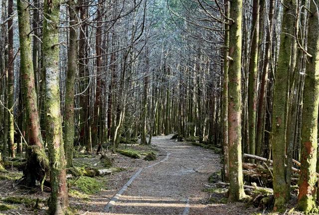 A flat section of trail