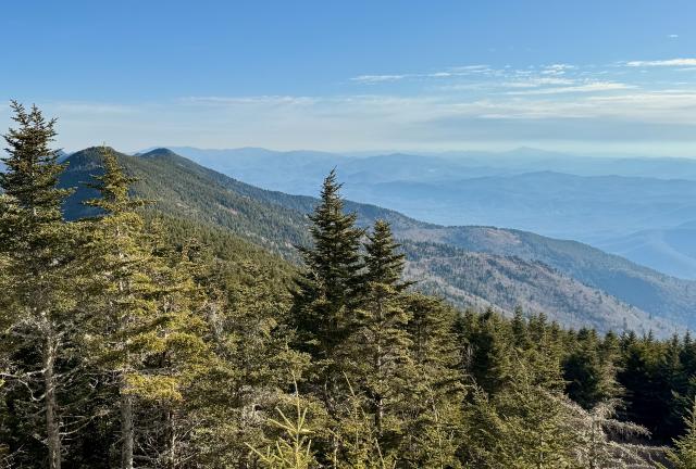 A view from the Mount Mitchell viewing platform