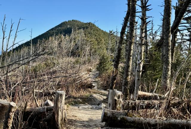 Climbing to Mount Craig