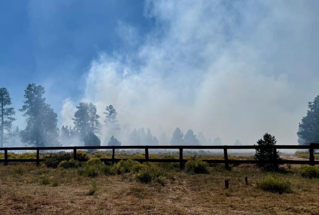 Smoke rises from a meadow