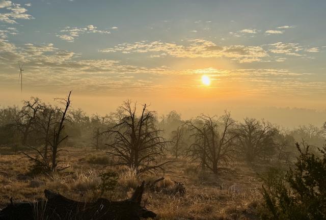 The sun shining through a smokey sky
