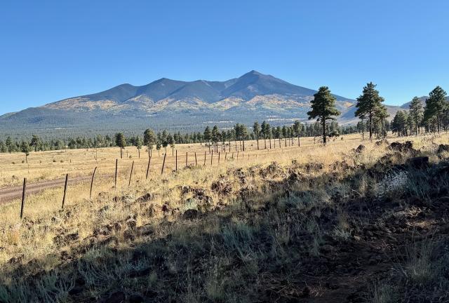 A view of Humphreys Peak across a wide plain