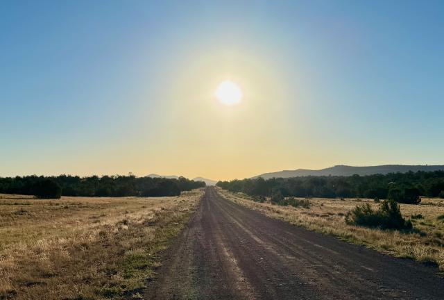 The morning sun hangs low over the desert