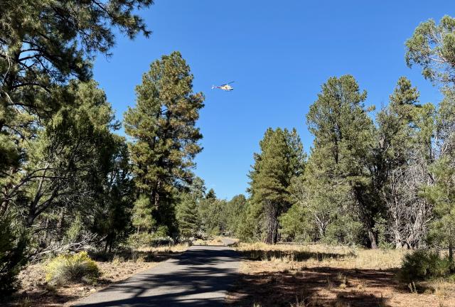 A helicopter flies overhead