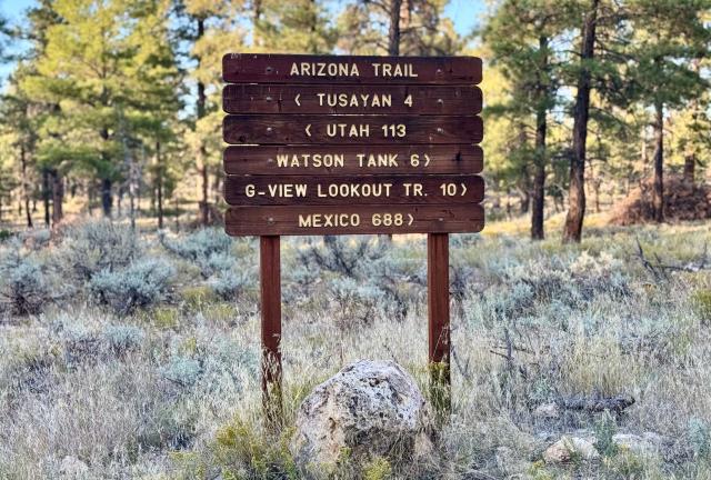 A large wooden sign points in directions on the trail