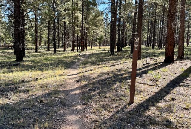 A post with a trail logo marks the route