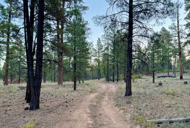A double-track road follows a zig-zag route