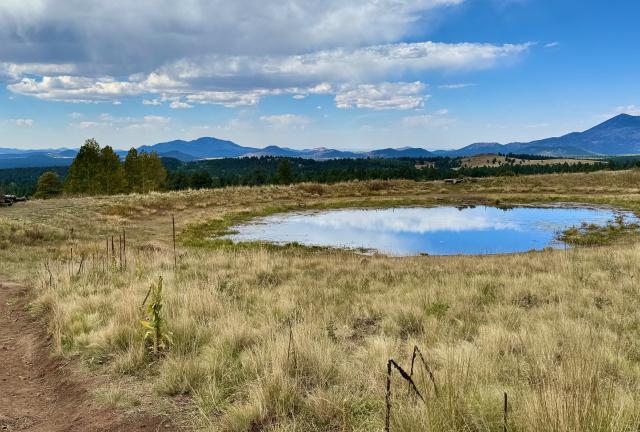 Approaching Alfa Fia Tank