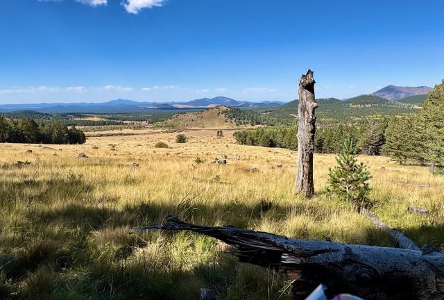 A view across part of the San Francisco volcanic field