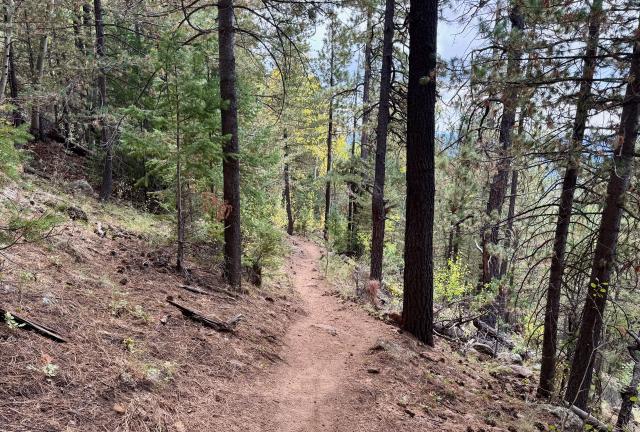 The trail descends a steep slope