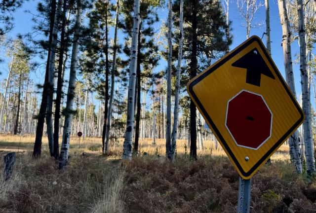 A sign shows that a stop sign is ahead