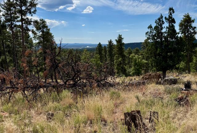 A distant view of Flagstaff
