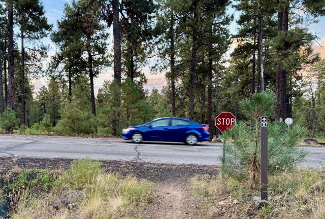Approaching Snow Bowl Road