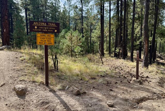 The Arizona Trail splits in two directions