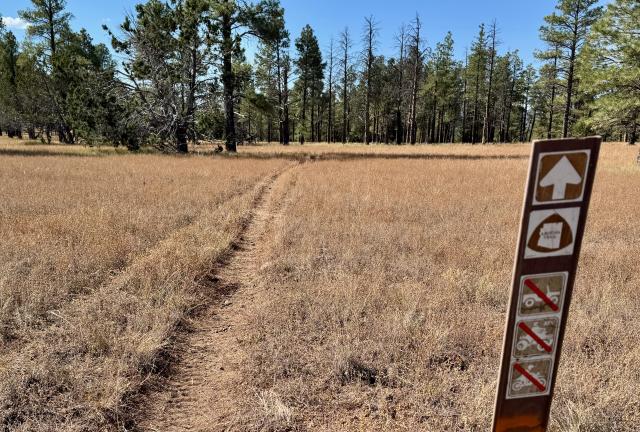 A flat trail across a meadow