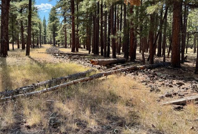 The old railroad makes a turn