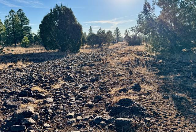 The trail is covered in rocks