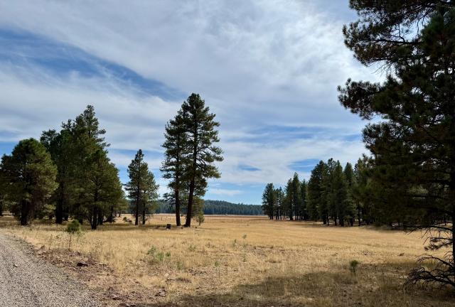 A light layer of clouds move in