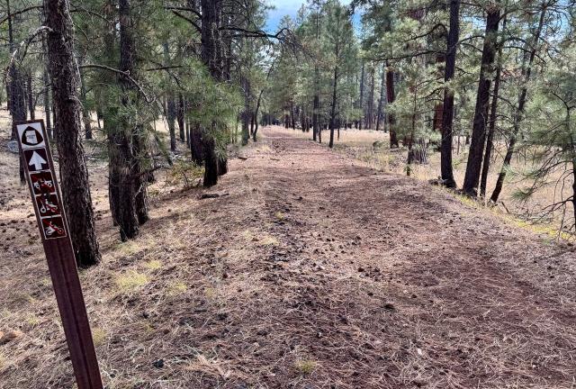 An elevated section of an old railroad bed