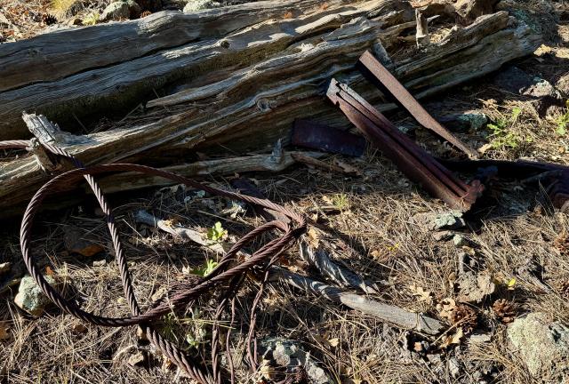 Rusting logging equipment