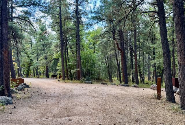 A National Forest Service campground
