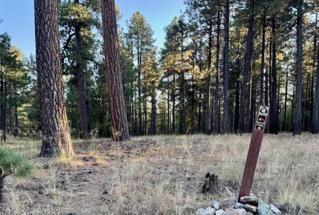 A flat section of the Arizona Trail