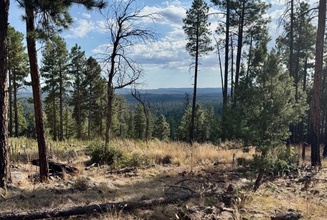 A view from the top of a ridge