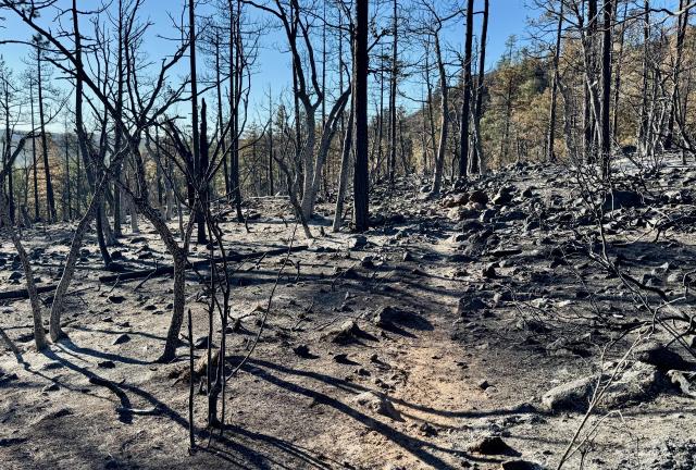 An area destroyed by fire