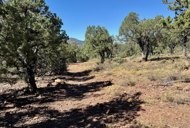 The terrain begins to flatten 